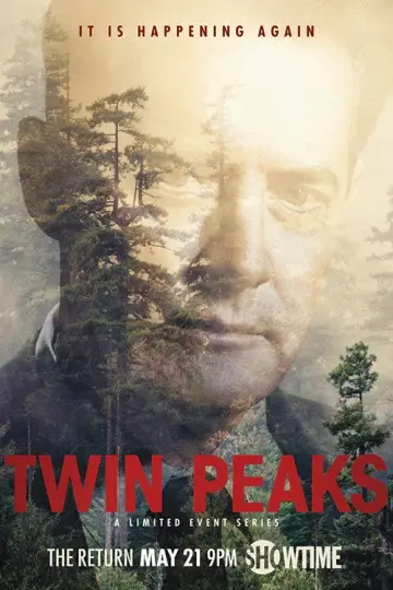 Poster for the TV series "Twin Peaks" #1274777