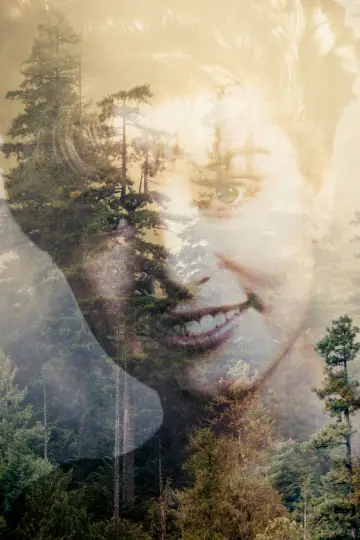 Poster for the TV series "Twin Peaks" #1519569