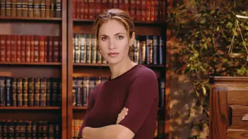 Backdrop for the TV series "Judging Amy" #1312810