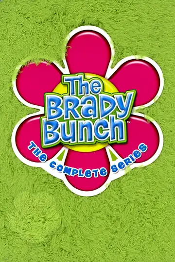Poster for the TV series "The Brady Bunch" #1388303