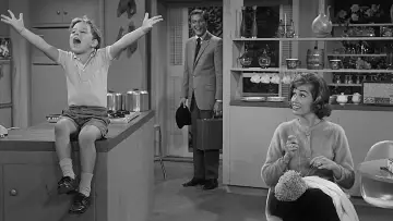 Backdrop for the TV series "The Dick Van Dyke Show" #1283452