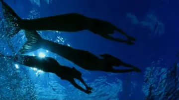 Backdrop for the TV series "H2O: Just Add Water" #1349426
