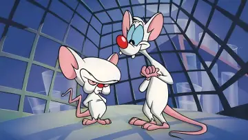 Backdrop for the TV series "Pinky and the Brain" #1354034