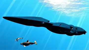 Backdrop for the TV series "seaQuest DSV" #1349108