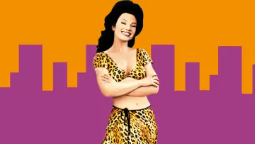 Backdrop for the TV series "The Nanny" #1256559