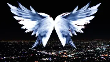 Backdrop for the TV series "Angel" #1293202