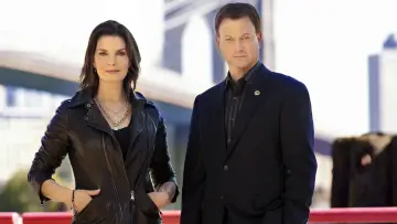 Backdrop for the TV series "CSI: NY" #1278770