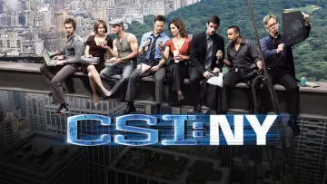 Backdrop for the TV series "CSI: NY" #1278776