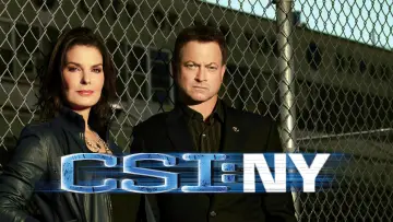 Backdrop for the TV series "CSI: NY" #1278781