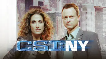 Backdrop for the TV series "CSI: NY" #1278783