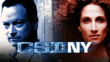 Backdrop for the TV series "CSI: NY" #1278784