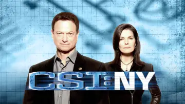 Backdrop for the TV series "CSI: NY" #1278785