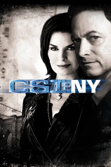 Poster for the TV series "CSI: NY" #1278793