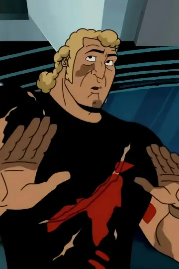 Poster for the TV series "The Venture Bros." #1373735