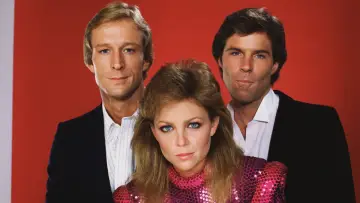 Backdrop for the TV series "Knots Landing" #1314342
