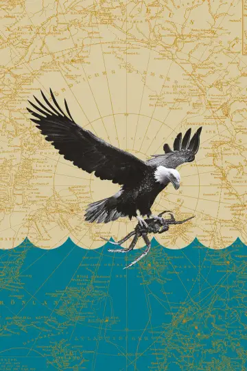 Poster к сериалу "Deadliest Catch" #1221187