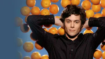 Backdrop for the TV series "The O.C." #1290115