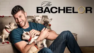 Backdrop к сериалу "The Bachelor" #1390541