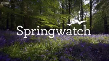 Backdrop for the TV series "Springwatch" #1395960