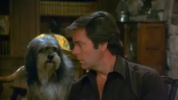 Backdrop for the TV series "Hart to Hart" #1325927