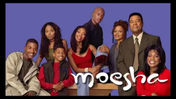 Backdrop for the TV series "Moesha" #1368348