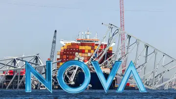Backdrop for the TV series "NOVA" #1256836