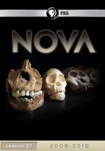 Poster for the TV series "NOVA" #1271423