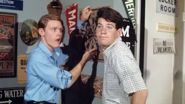 Backdrop for the TV series "Happy Days" #1314974
