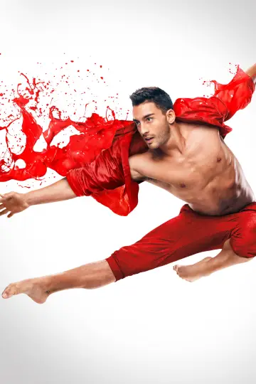 Poster for the TV series "So You Think You Can Dance" #1354611
