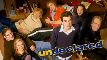 Backdrop for the TV series "Undeclared" #1680646