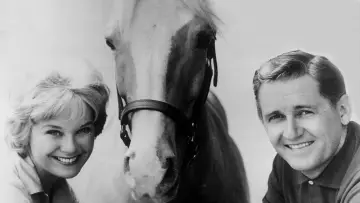 Backdrop for the TV series "Mister Ed" #1392628