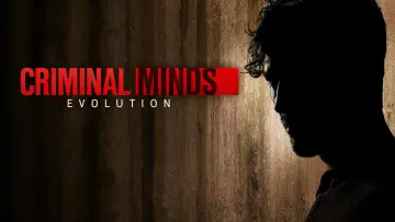 Backdrop for the TV series "Criminal Minds" #1234095