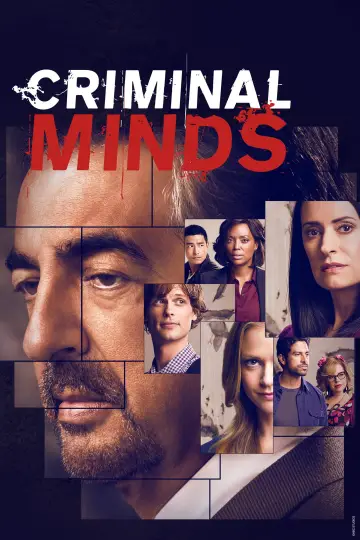Poster for the TV series "Criminal Minds" #1234201