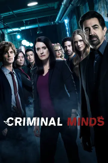 Poster for the TV series "Criminal Minds" #1234202