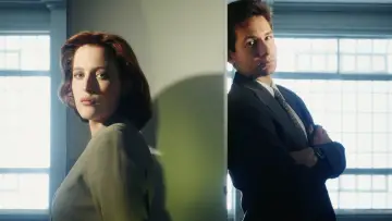 Backdrop for the TV series "The X-Files" #1250692