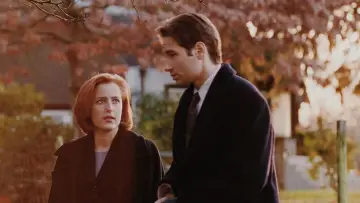 Backdrop for the TV series "The X-Files" #1250701
