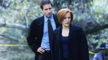 Backdrop for the TV series "The X-Files" #1250752