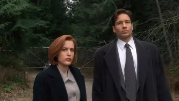 Backdrop for the TV series "The X-Files" #1250759