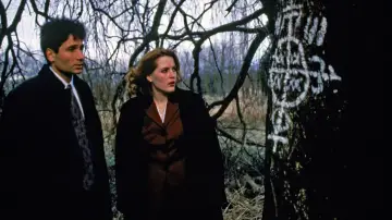 Backdrop for the TV series "The X-Files" #1250764