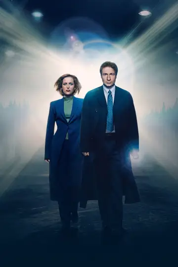 Poster for the TV series "The X-Files" #1250858