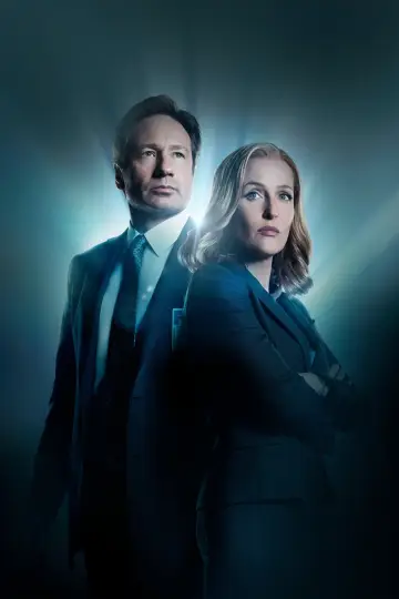 Poster for the TV series "The X-Files" #1250880