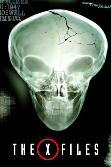 Poster for the TV series "The X-Files" #1250920