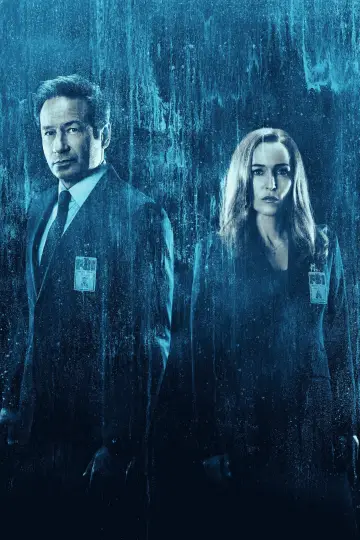 Poster for the TV series "The X-Files" #1250968