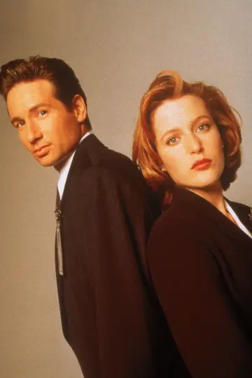 Poster for the TV series "The X-Files" #1250981