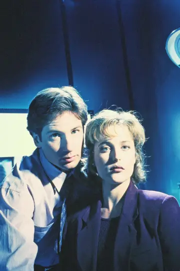 Poster for the TV series "The X-Files" #1251014