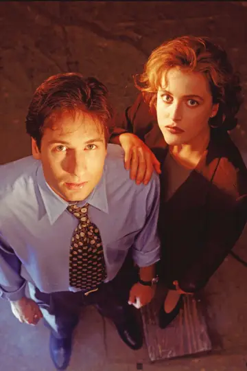Poster for the TV series "The X-Files" #1251015