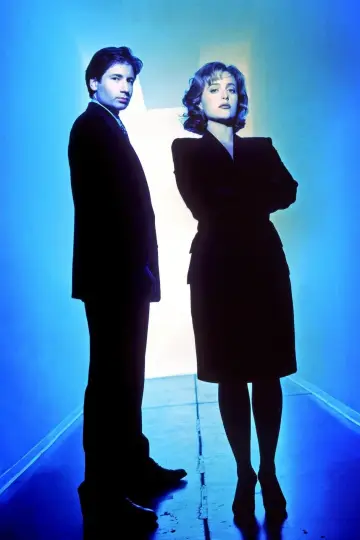 Poster for the TV series "The X-Files" #1251017