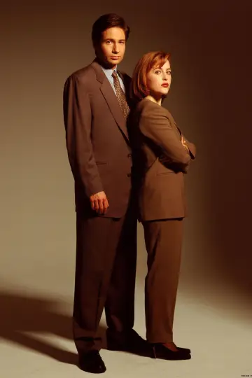 Poster for the TV series "The X-Files" #1251021
