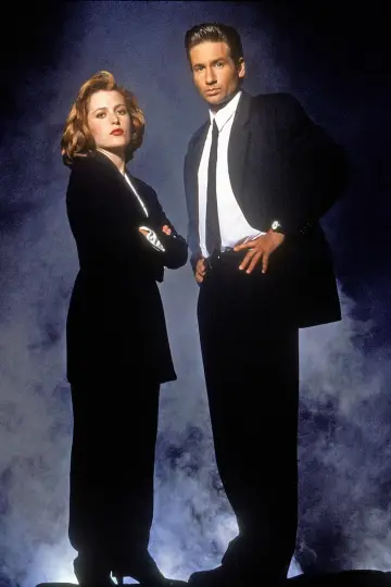 Poster for the TV series "The X-Files" #1251022