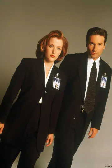Poster for the TV series "The X-Files" #1251023